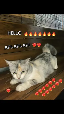 apiapi🔥#fyp #foryoupage #steak #api 