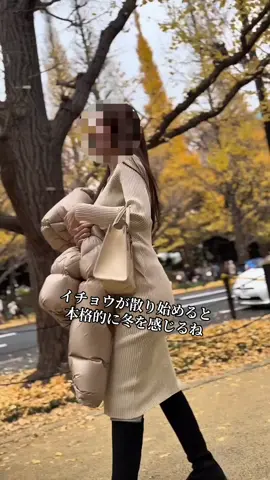 イチョウが散り始めると 本格的に冬を感じるね🍁 #イチョウ #イチョウ並木 #紅葉 #冬 #冬コーデ 