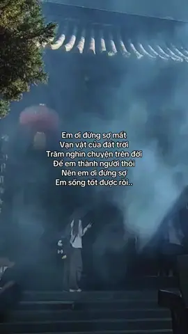 Này em ơi.. #phatphap #phatphapnhiemmau #tientutap #phatphapvadoisong #fyp 