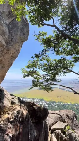 Chớ bỏ lời thề nơi Phật cảnh, Chớ quên tiếng nguyện chốn non xanh. Lời Đức Huỳnh Giáo Chủ 🙏 NAM MÔ BỔN SƯ THÍCH CA MÂU NI PHẬT  NAM MÔ A DI ĐÀ PHẬT 