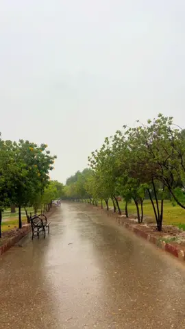 #کەلارو_باران_بارین_ریک_ئەبیتە_بوکو_کوردستان👑#لایکو_کۆمێنت_فۆڵۆلەبیر_مەکەن #ریپۆست_بکەن_دڵن_🤍 #سناپی_پەیج_لەبیۆیە_ئادی_بکەن #بینە_لایڤ