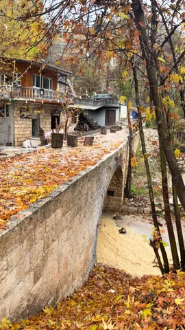 #tihenapiraise #amedi #kurdstan #fyp #viral 