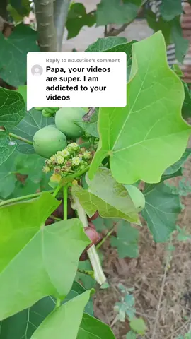 Replying to @mz.cutiee #fyp #viral @Yaweh @spiritual consciouness 