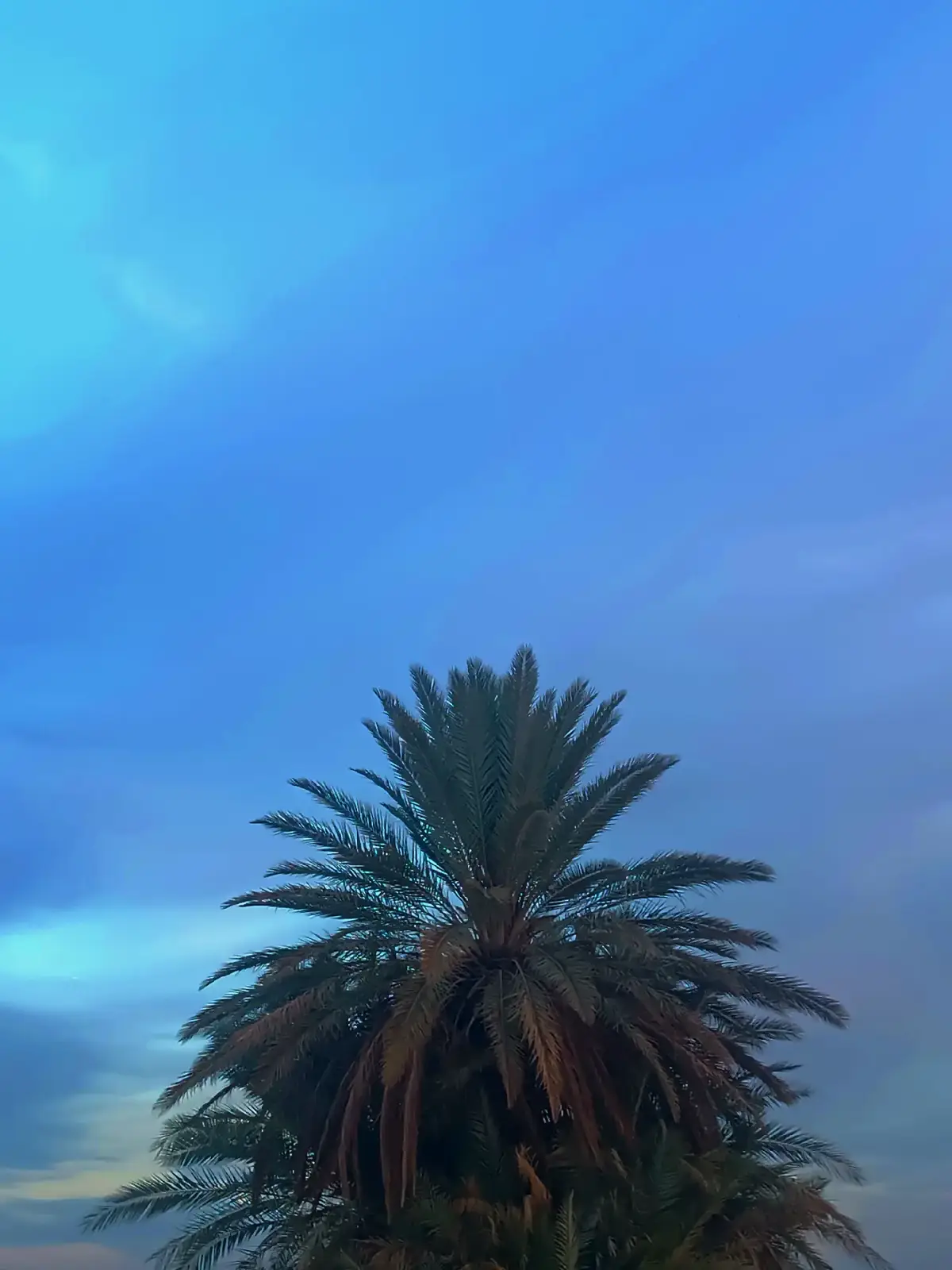 #حاوينا🖤  #الهلش  #نخل _العبد الشرقاط🌴 #تصويري_احترافي_الاجواء👌🏻🕊😴  #جبور_وعز_الجبور🇮🇶🦅  🌴🌴🌴🌴🌴🌴🌴🌴🌴🌴🌴🌴🌴🌴🌴🌴🌴🌴🌴🌴🌴🌴🌴🌴🌴🌴🌴🌴🌴🌴🌴🌴🌴🌴🌴🌴🌴🌴🌴🌴🌴🌴🌴🌴🌴🌴🌴🌴🌴🌴🌴🌴🌴🌴🌴🌴🌴🌴🌴🌴🌴🌴🌴🌴🌴🌴🌴🌴🌴🌴🌴🌴🌴🌴🌴🌴🌴🌴🌴🌴🌴🌴🌴🌴🌴🌴🌴🌴🌴🌴🌴🌴🌴🌴🌴🌴🌴🌴🌴🌴🌴🌴🌴🌴🌴🌴🌴🌴🌴🌴🌴🌴🌴🌴🌴🌴🌴🌴🌴🌴🌴