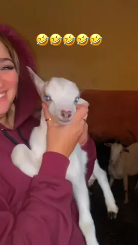 😅😂😅😅😂😂😂