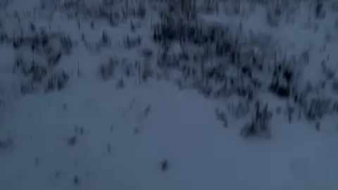 2 version  #лунаяиты #природа #natural #fyp #rge 