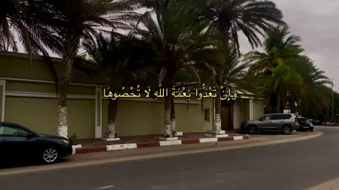 Part2| تلاوة صباحية للقارئ الشنقيطي: محمد لغظف🤍 #اكسبلورر #المغرب🇲🇦تونس🇹🇳الجزائر🇩🇿تركيا🇹🇷_العراق🇮🇶 #مشاهير_تيك_توك_مشاهير_العرب #نواكشوط_موريتانيا🇲🇷 #foryou 