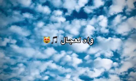 #شعب_الصيني_ماله_حل😂😂 #fyp #العجال_و_الحكومة_العاقلة🍾🥂 