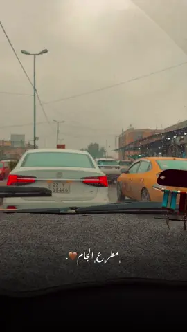 مطر ع الجام 🤎.  #تصويري #شاشة_سوداء🖤 #الاصلاح_الزراعي🤎 