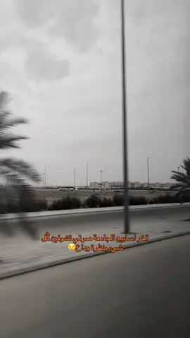 #جامعة_القصيم #جامعة #explore #fyp #foryou 