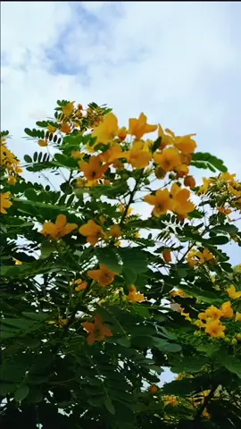 #تصويري #باسم_الكربلائي 