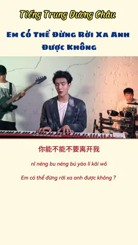 《你能不能不要离开我》 #tiengtrungduongchau #nhactrungquoc #nhachoaduongchau #fyp #xuhuong 