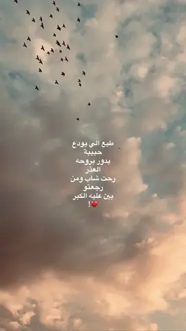 #سيد_فاقد_الموسوي #اكسبلور #اكسبلورexplore #tiktok #العراق 