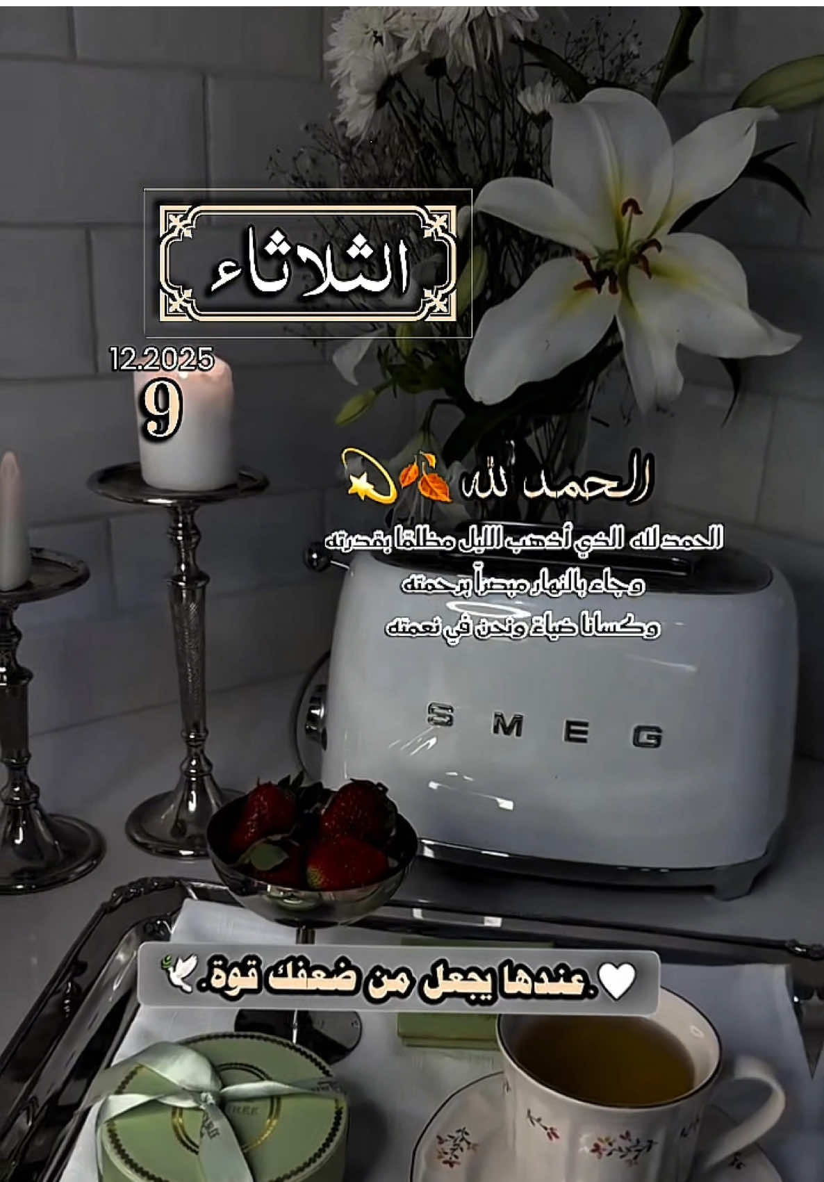 ‏🤍____🥀دعاء في يوم الثلاثاء 🥀____🤍#اللهم #أمين #يارب