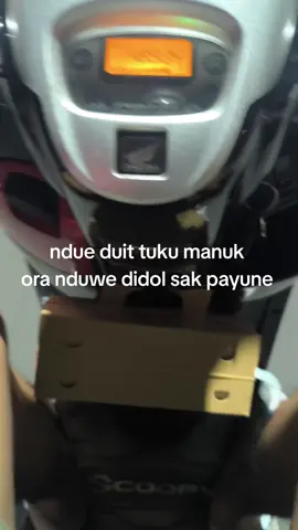 umume wong mumet🙏 #kicaumania #fyp #solo24jam #foryou #kicaumaniaindonesia 