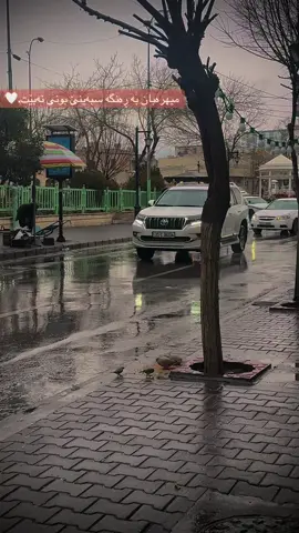 من دڵی باڵندەیەکم پێ نەشکا،تۆ چۆن توانیت دڵی من بشکێنیت..!🕊️#slemani #foryou #actives? #pyf #forpage 