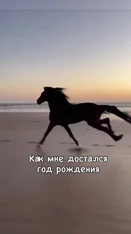 Кому ещё так повезло, как мне? 😉😀 #юмор #вреки #напозитиве #китайскийкалендарь 