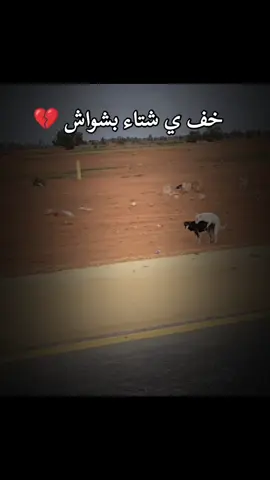 خف ي شتاء بشواش عالعزابي 💔 #الشتاء_البرد_اجواء_شتويه #الشعب_الليبي_ماله_حل😂 #كلاب_الشوارع #عزوبيه_والوضع_ميه_الميه #😂😂😂 