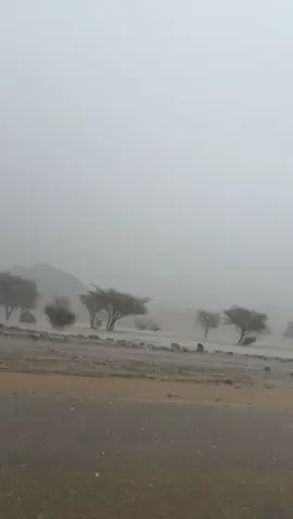 🔴 مباشر الان امطار شمال #ينبع الان تصوير عضو الفريق ابو وسيم #امطار #ترند #سيول 