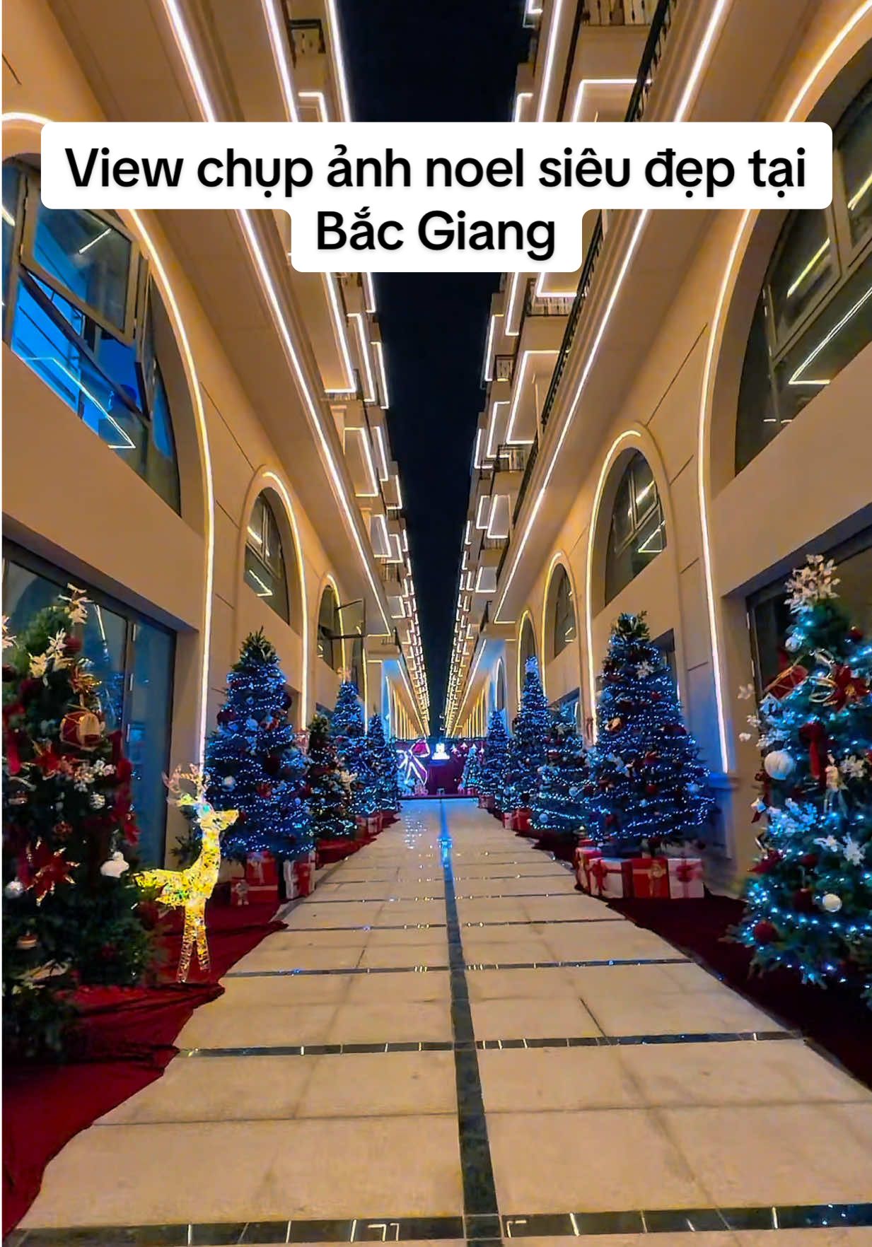Con đường noel siêu đẹp Bắc Giang #98bacgiang #bacgiang98 #dulichbacgiang #quancafedep #noel 