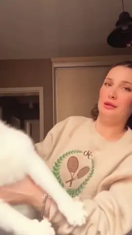 #cat #catsoftiktok #funnycats #catlover 