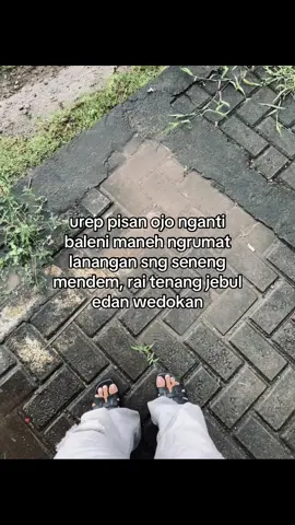 Lek ngapusi puinterr🤪 #trenggalek24jam #tiktokimpact #fypシ #beranda #fyp 