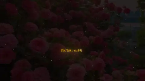 أرجو منكم الدعاء لأخي،أسأل الله أن يشفيه ويكتب له العافية والطمأنينة.