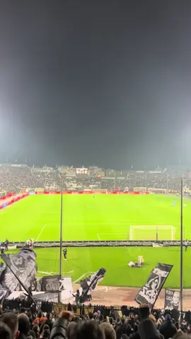 #paok #paokfc #paokaris #fyp #foryou 🪱