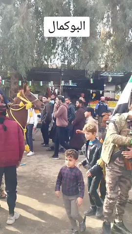 #البوكمال#يوم_التحرير 