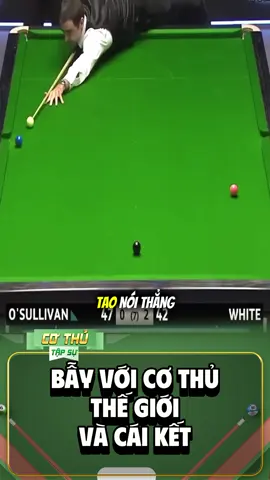 Bẫy cơ thủ thế giới có dễ #billiards #bida #cothutapsu #giaitri #hoangsao 