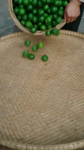 #NatureofChina #chinatiktok #viralvideo 