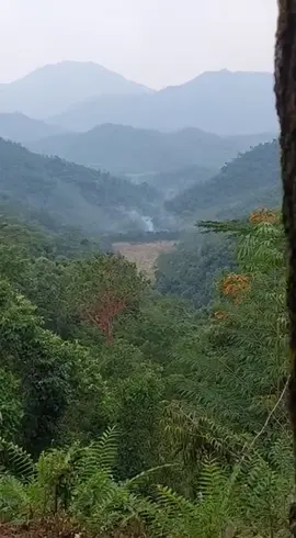 #เครื่องบินรบ #ภาพจำรองAI #ai #aiเพื่อความบันเทิง #เทรนด์วันนี้ 