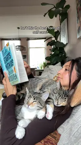 Winter cuddles are the best ones 🥰🙏🏽 #healing #purring #catlover #catcuddles #cuddlycats 