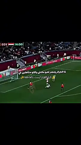 #الشعب_الصيني_ماله_حل😂😂 #الجزائر #الجزائر_تونس_المغرب #مصر_السعوديه_العراق_فلسطين #اكسبلور 