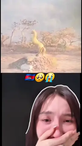 Thai soldiers shot and destroyed the Golden Horse Monument, the symbol of the 3rd Support Division of the Cambodian Army. #comedia #🇰🇭 