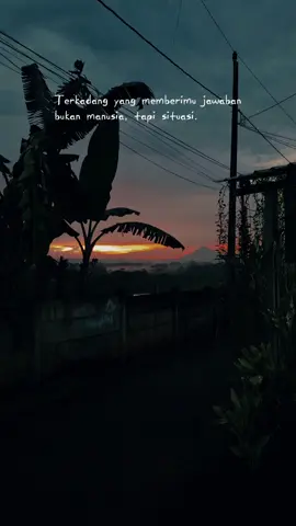 #storytime #fyppppppppppppppppppppppp #catsoftiktok 