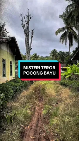 MISTERI TEROR POCONG BAYU #bangkukosongtv #horortiktok #ceritahoror #rumahpocong #pocongbayu 