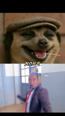 #fyppppppppppppppppppppppppppppppppppppシ #eritreantiktok🇪🇷🇪🇷habesha #ethiopian_tik_tok🇪🇹🇪🇹🇪🇹🇪🇹 