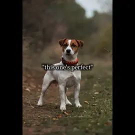 #CapCut #wabisabi #funny #sahm #facts 