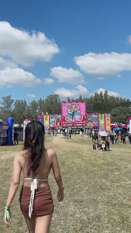 #bmmf15 🐮⛰️🤍