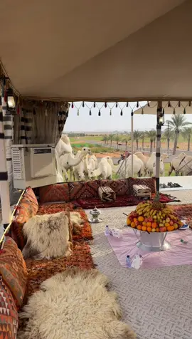 #حايلندا_اكسبلور_حايل #المطبّح_ترند #المطبّح #حائل 