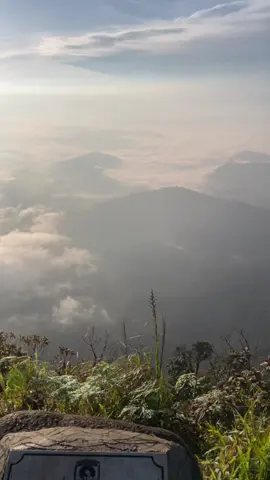 kamu dengan perempuan itu, aku dengan MDPL ku  #atapkalsel1901mdpl  #pendakipemula   #pegununganmeratus 