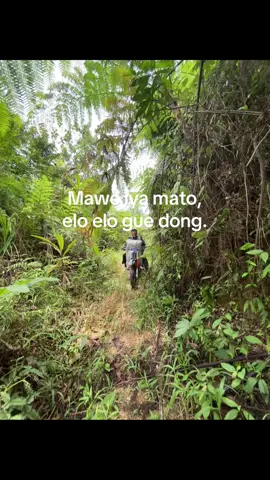 🤪#fyp #katakatabugis #sulawesi 