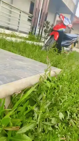 #ບໍ່ແຮງດອກແຕ່ແສງຄົນຍ່າງໄດ້🫡#🤣😂#เทรนด์วันนี้ #ຝິດຄົນຫນ້າຮັກ🥰 