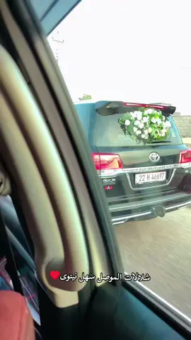 #مصطفى_خالد_محمود #موصل #اعراس_عراقيه #♥️ @مصطفى خالد الحديدي 