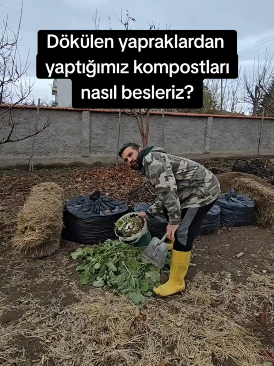 Kompostta her hafta neden çökmeler oluyor? Geçen hafta yapraklarla başlattığımız kompost güzelce sinmiş, aşağı doğru çökmeye başlamış. Bu aslında en sevdiğimiz işaret: mikroorganizmalar malzemeleri parçalıyor demek. Ben de üzerine bir kat bitki artığı ekledim, üstüne de ince bir toprak serdim. Kompost azaldıkça ben de üstten besliyorum. Bu döngü böyle devam ettikçe içerideki sıcaklık artar, mikro-yaşam hızlanır ve baharda kullanacağımız en zengin humus oluşur. Kompost çöktükçe besle, besledikçe hayat artsın. 🌱♻️ #kompost #toprakyapısı #organikbahçecilik #kompostdöngüsü #bahcemegel 