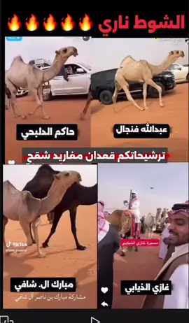 شوط ناري 🔥🔥🔥ترشحاتكم 🥇🥇 من يخطف المركز الاول 🥇🔥 #غازي_الذيابي_الدلبحي_الهاجري_عبدالله فنجال #شوط_مفاريد_الحمر_قعدان #مهرجان_الملك_عبدالعزيز_لمزاين_الابل_10  #غازي_الذيابي_مخلد_سهل_ابو_حشر #عتيبه_روق_برقا_الهيلا_الصياهد 