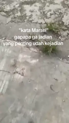 #fyppp #katakata tag yang nama nya Marsel 🤣