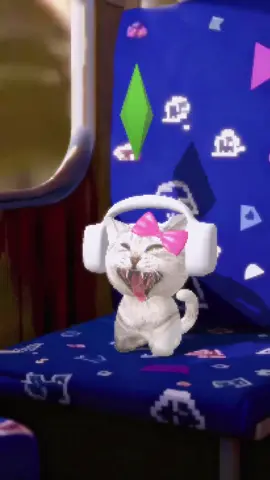 고양이 버스 필터 하는법#고양이 #웃기다 #버스킹 