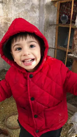 Murtaza in pigeons cage #pigeon #kids #gems #gadget #catlover 